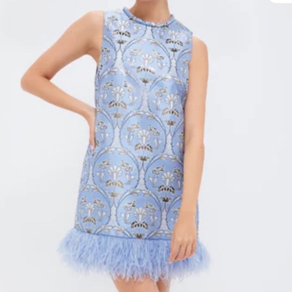 NWT Cara Cara Light Blue Feather Trim Dress